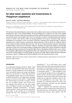 plasticity and invasiveness in Polygonum