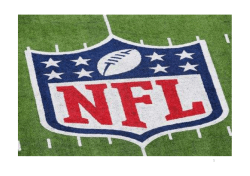 The NFL Brand - Sarah Swanson - 17.11.2015