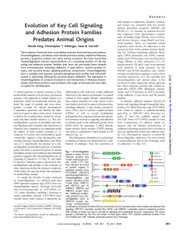 Evolution of Key Cell Signaling and Adhesion Protein Families