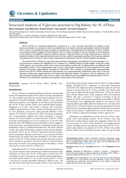 Structural Analysis of N-glycans attached to Pig Kidney Na+/K+