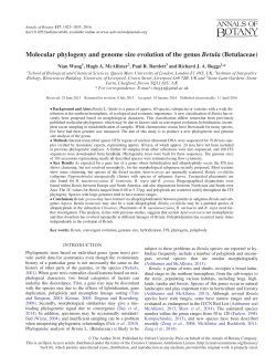 Molecular phylogeny and genome size evolution of the genus Betula