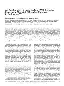 An Auxilin-Like J-Domain Protein, JAC1