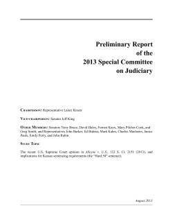 06) Special Committee on Judiciary Preliminary Report