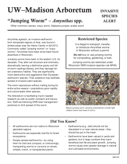 Amynthas information sheet - UW Arboretum - UW