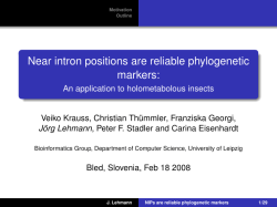 NIPs are reliable phylogenetic markers