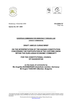 DRAFT AMICUS CURIAE BRIEF ON THE INTERPRETATION OF
