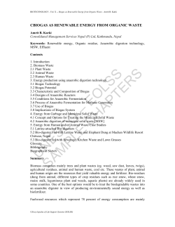 Biogas as Renewable Energy from Organic Waste