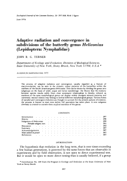 Adaptive radiation and convergence in subdivisions of the butterfly