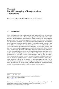 Rapid Prototyping of Image Analysis Applications