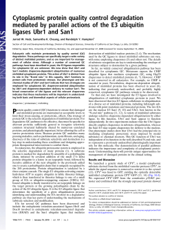 Cytoplasmic protein quality control degradation