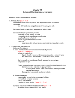 Chapter 11 Biological Membranes and transport
