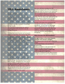 19th Amendment - Mr. Furg Home