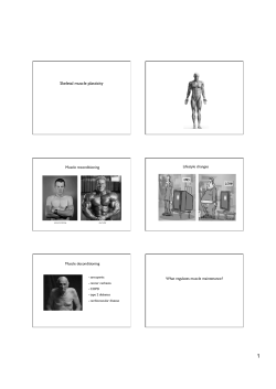 Regulation of muscle mass maintenance.pptx