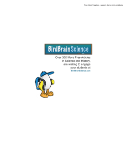 They Work Together - BirdBrain Science