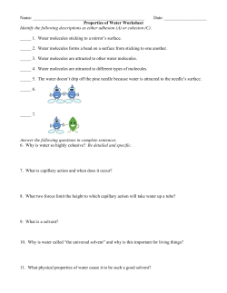 Properties of Water WS