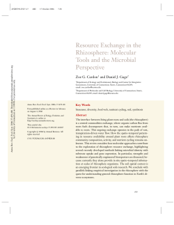 get pdf - University of Connecticut