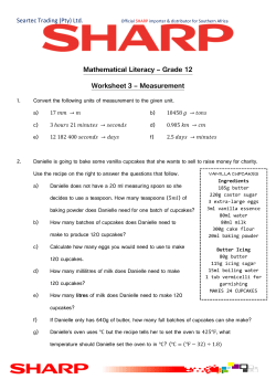 Mathematical Literacy &ndash; Grade 12 Worksheet 3 - E
