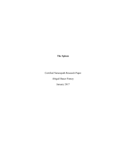 The Spleen by Abigale Finney - Naturopathic Institute of Therapies