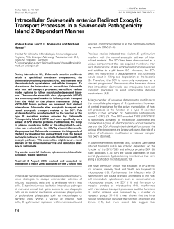 Intracellular Salmonella enterica Redirect Exocytic Transport