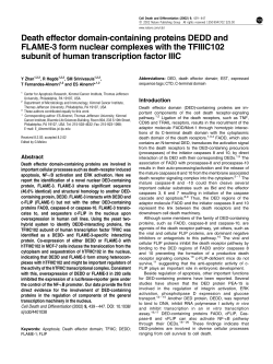 Death effector domain-containing proteins DEDD and FLAME