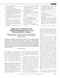 Alignment of Conduits for the Nascent Polypeptide Chain in