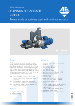 Lowara SHS 80-160 110