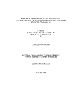 anatomical relationship of the incisive canal to structures of the