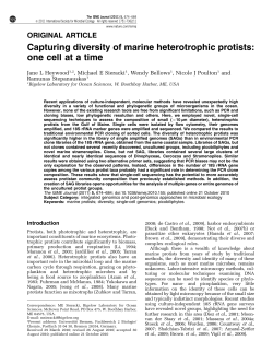 Capturing diversity of marine heterotrophic protists: one cell