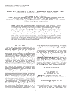 revision of the early cretaceous cordicephalus from