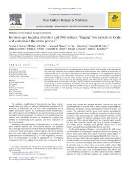 Immuno-spin trapping of protein and DNA radicals
