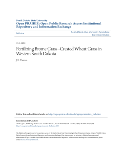 Fertilizing Brome Grass--Crested Wheat Grass in