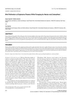 Bird Pollination of Explosive Flowers While Foraging for Nectar and