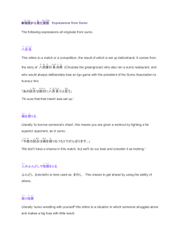 Teachers Notes Sumo(PDF 117KB)