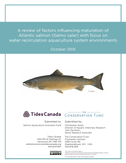 A review of factors influencing maturation of Atlantic salmon