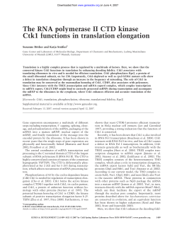 The RNA polymerase II CTD kinase Ctk1 functions in translation