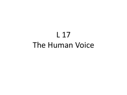 L 17 The Human Voice
