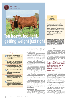 Too heavy, too light, getting weight just right