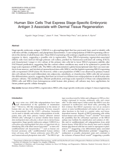 Human Skin Cells That Express Stage