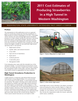 2011 Cost Estimates of Producing Strawberries in a High Tunnel in