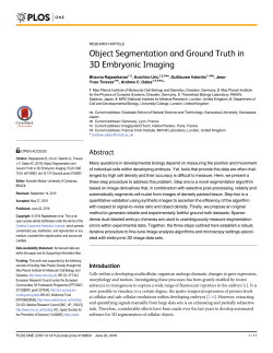 Object Segmentation and Ground Truth in 3D Embryonic