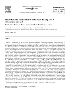 Metabolism and bioactivation of toxicants in the lung. The in vitro