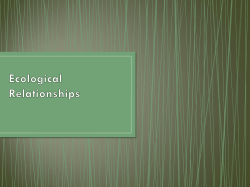 Ecological Relationships