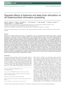 Opposite effects of ketamine and deep brain stimulation on rat