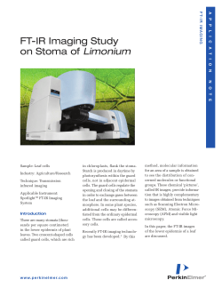 FT-IR Imaging Study on Stoma of Limonium