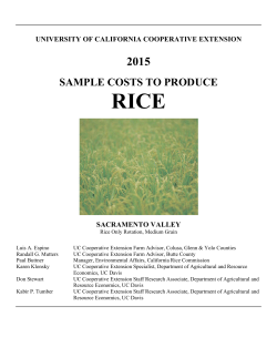 2015 Sample Costs to Produce Rice
