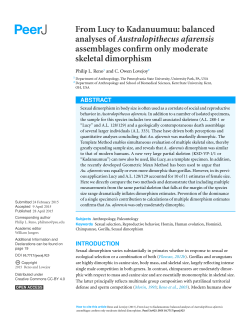 From Lucy to Kadanuumuu: balanced analyses of Australopithecus
