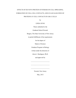 EFFECTS OF DE NOVO PROTEIN SYNTHESIS ON CELL