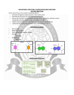 NUCLEOTIDES