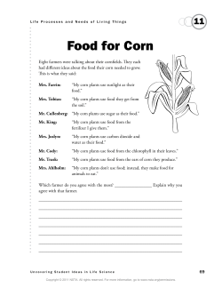 Food for Corn