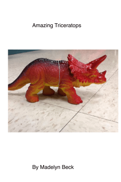 Amazing Triceratops